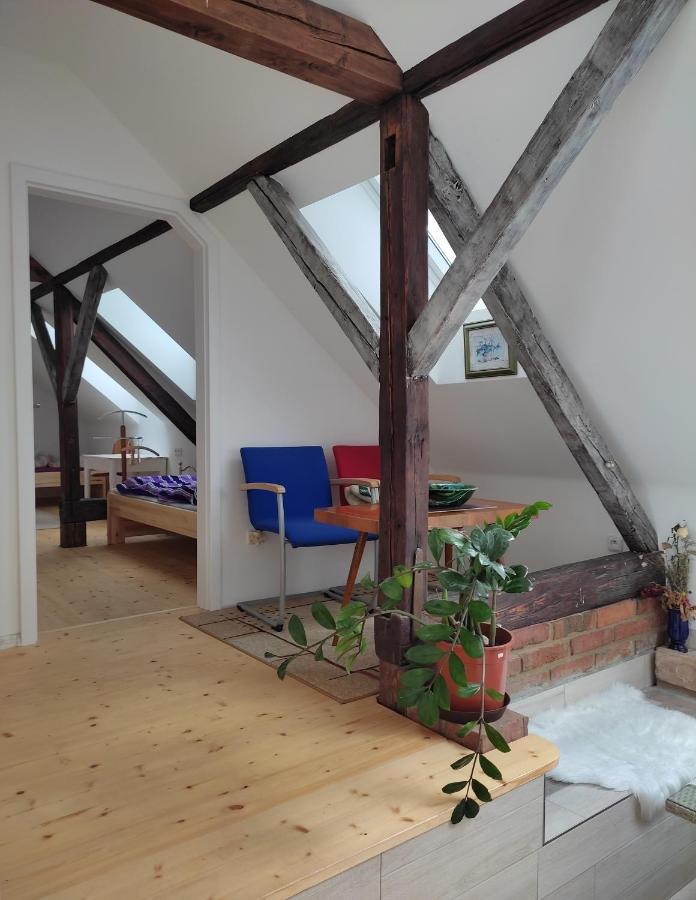 Maison d'hôtes Za Vodou à Moravská Nová Ves Extérieur photo