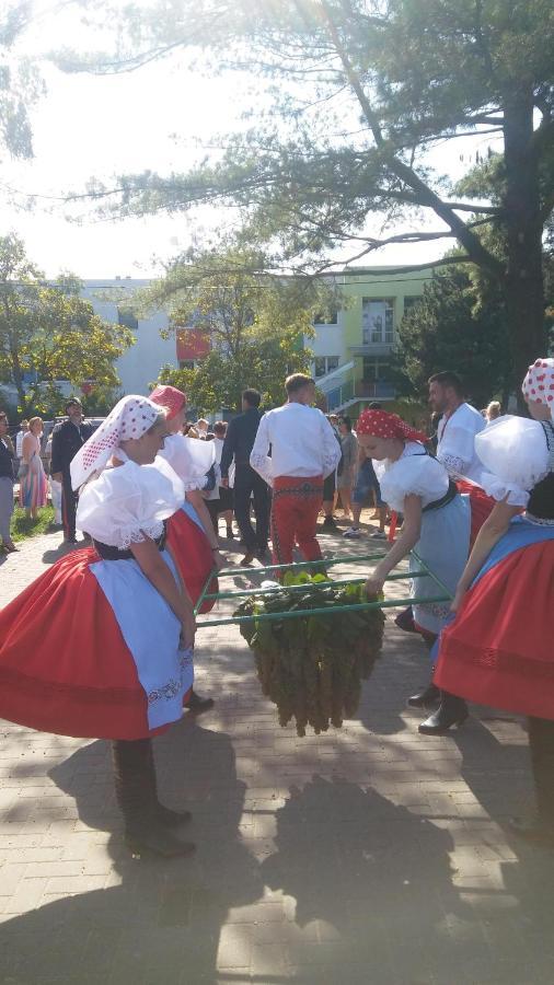 Maison d'hôtes Za Vodou à Moravská Nová Ves Extérieur photo